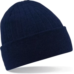 French Navy
