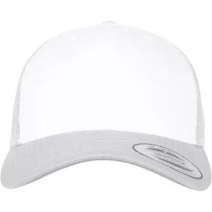 SILVER / WHITE