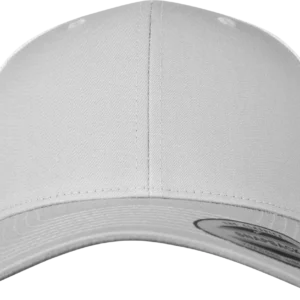 Silver / White