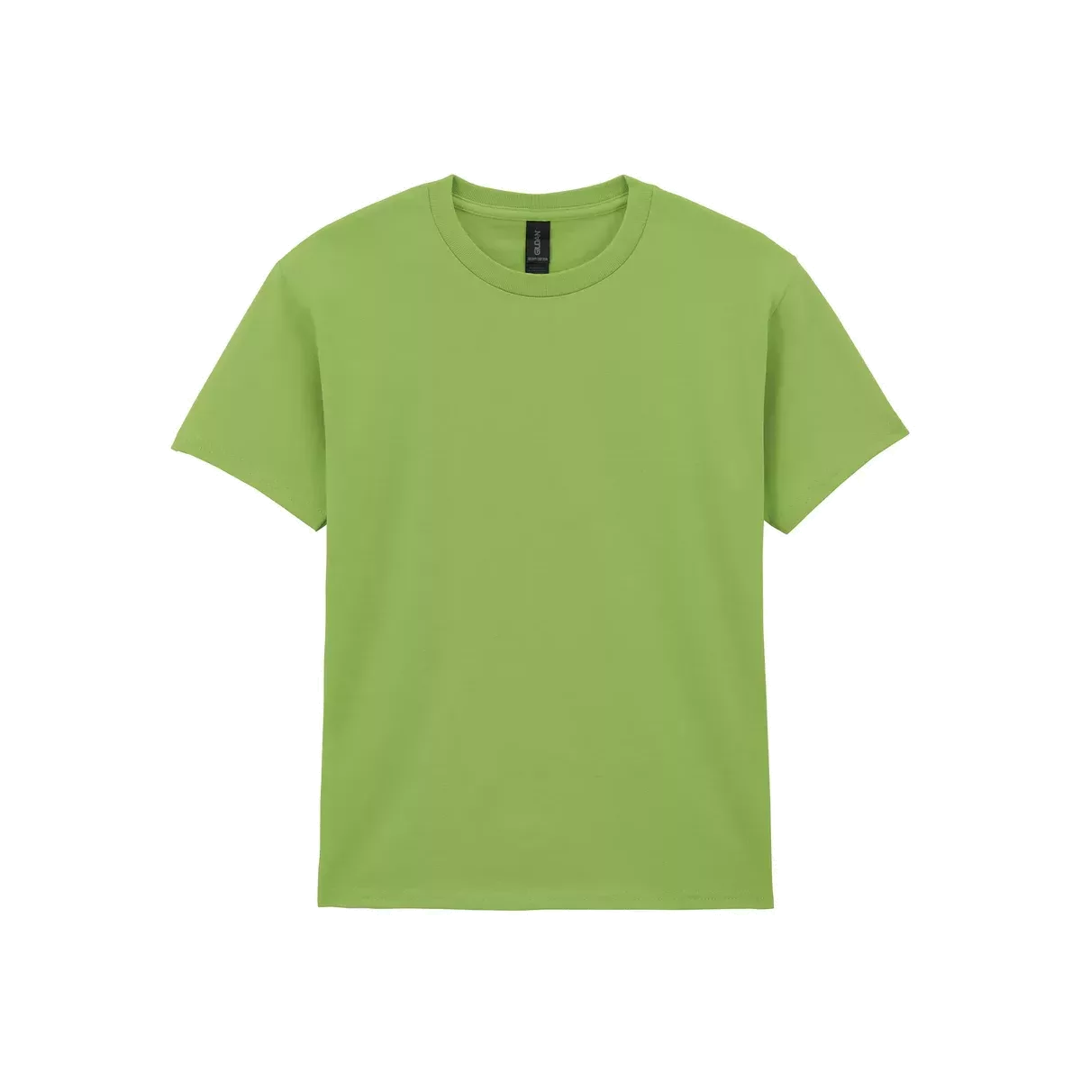 Heavy Cotton™Classic Fit Kinder T-shirt Kiwi (x72)