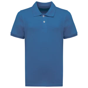 Light Royal Blue