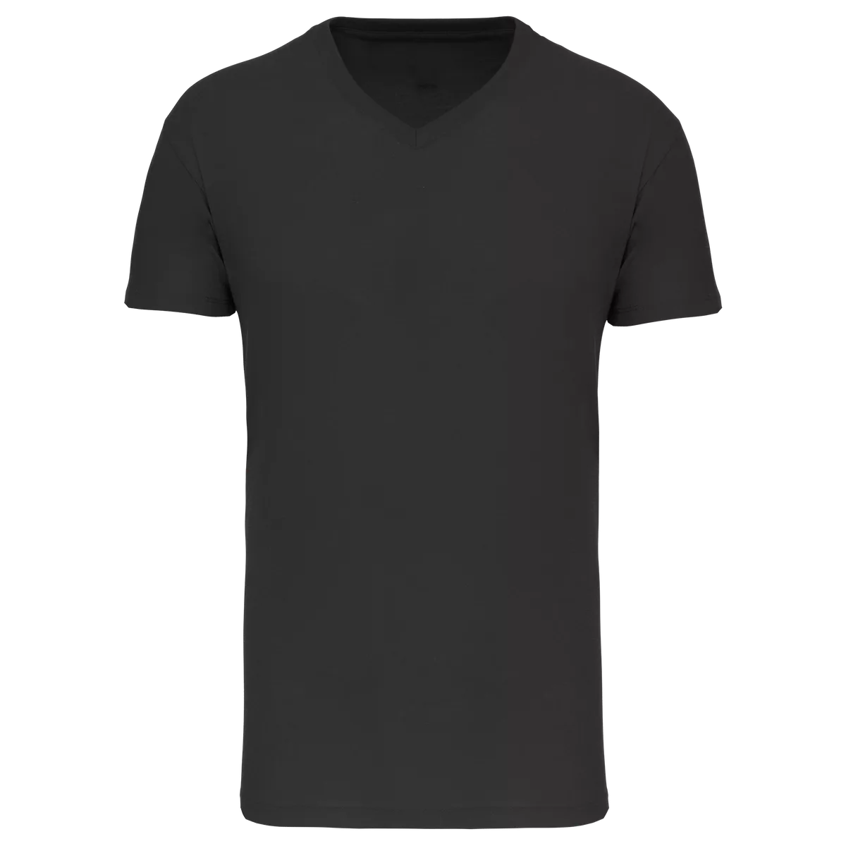 Heren-T-shirt BIO150 IC V-hals Black