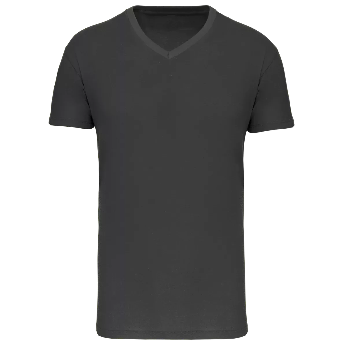 Heren-T-shirt BIO150 IC V-hals Dark Grey