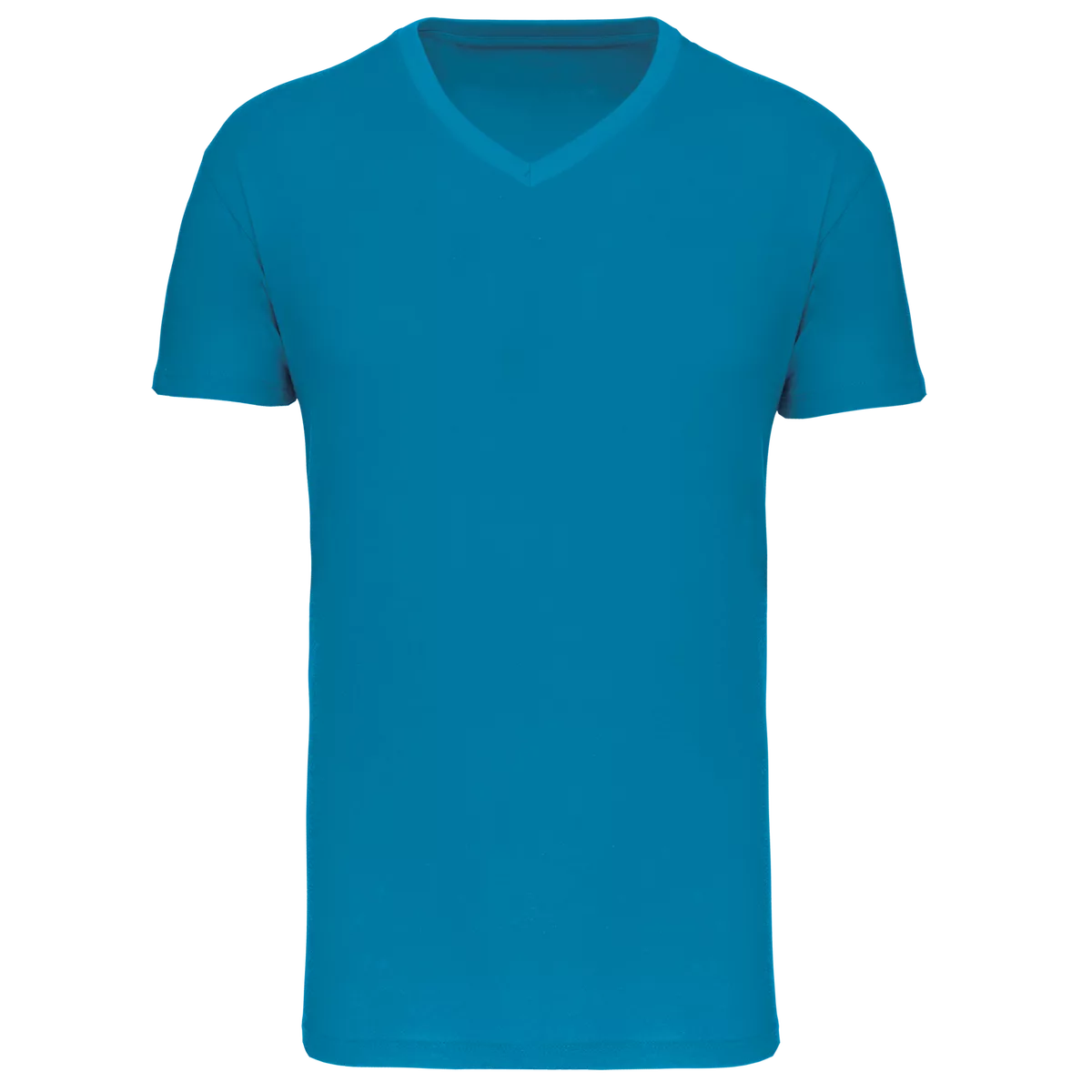 Heren-T-shirt BIO150 IC V-hals Tropical Blue
