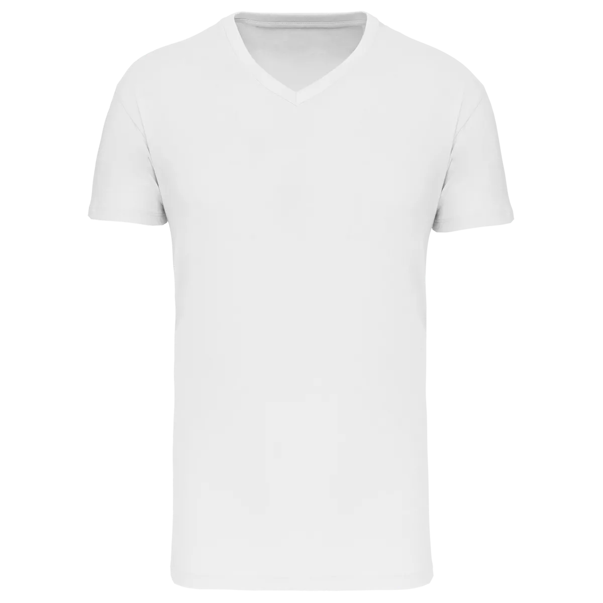 Heren-T-shirt BIO150 IC V-hals White