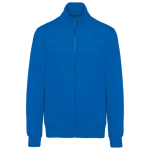 Light Royal Blue