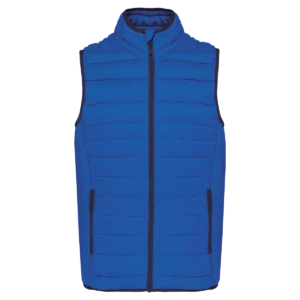 Light Royal Blue