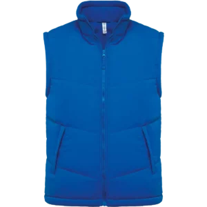 Light Royal Blue
