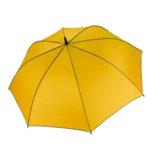 Yellow / Dark Grey