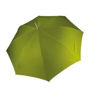 Burnt Lime