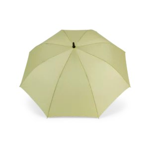Lemon Yellow