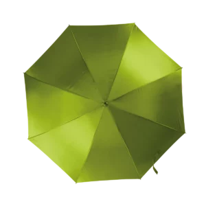 Burnt Lime