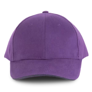 Purple / Dark Grey