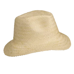 Panama – Hoed Natural