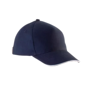 Navy / White