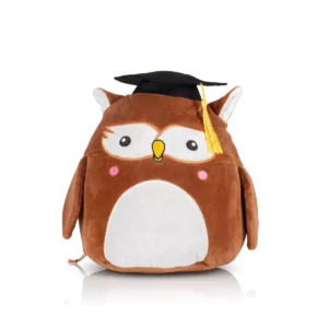 Wise Owl