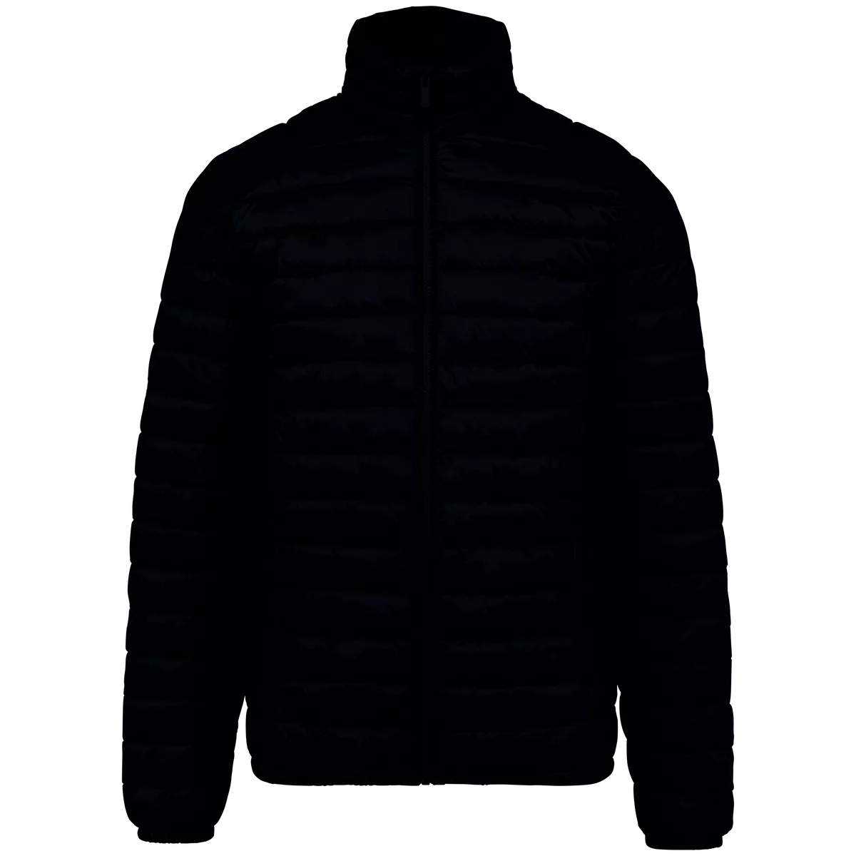 Ecologische lichte donsjekker voor heren Black