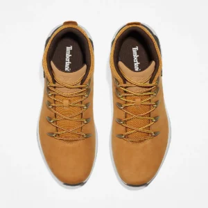 Wheat