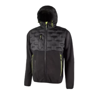 Black Carbon